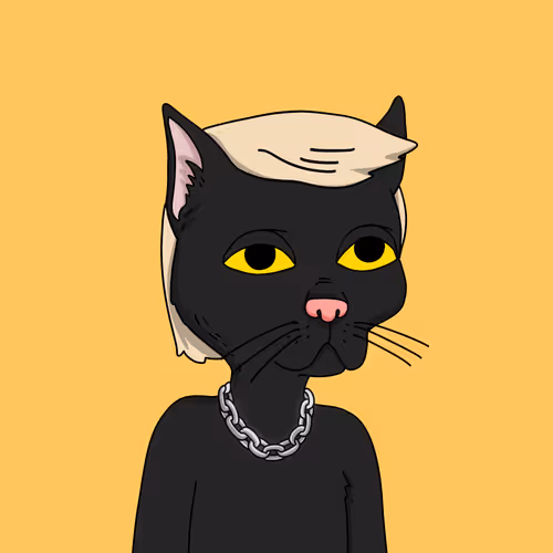 Gutter Cat #2271