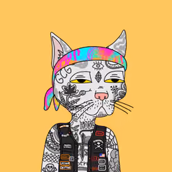 Gutter Cat #2315