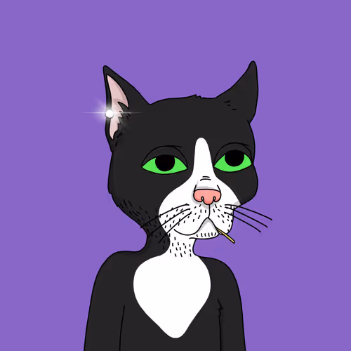 Gutter Cat #1605