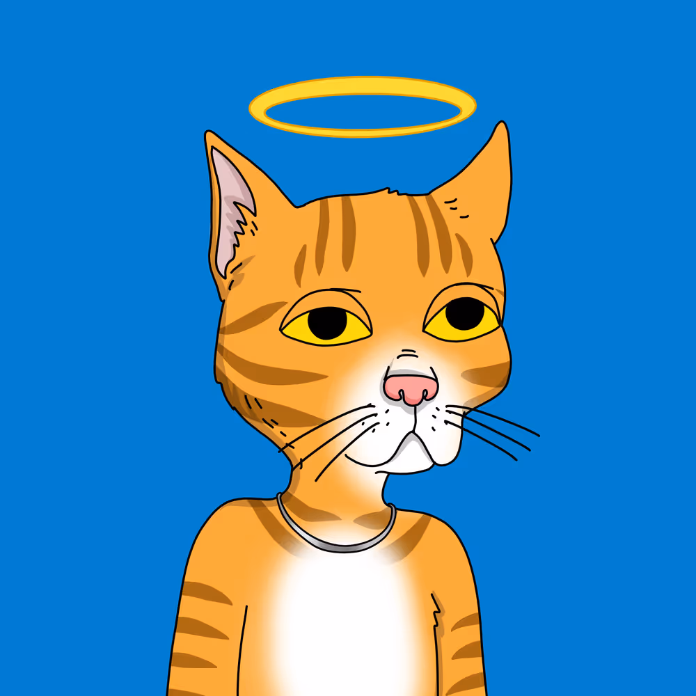 Gutter Cat #2992