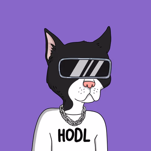 Gutter Cat #2078