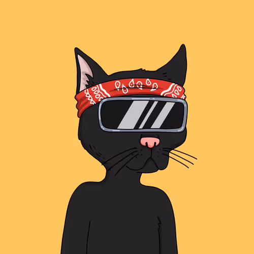 Gutter Cat #1533