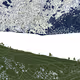Nature - xxd7UOtPl0