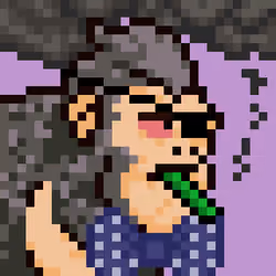 vApez #322