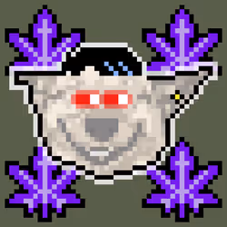 StonerDogz #365