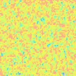 81