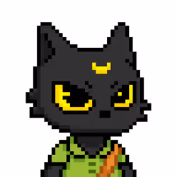 black cat #436