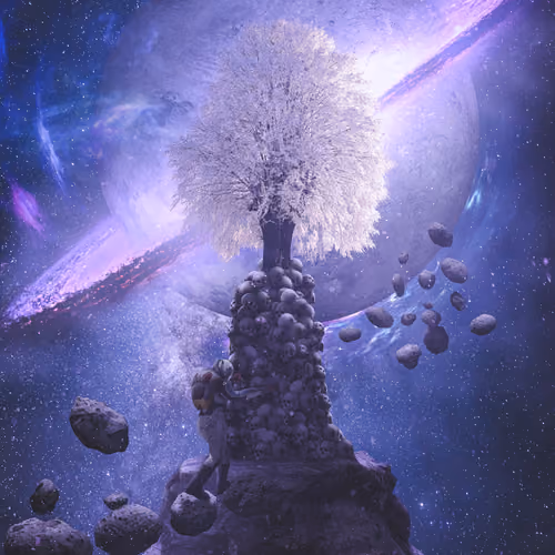 The Galaxy