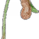 181