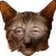 179