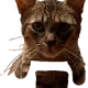 138