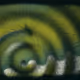 233