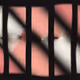 477