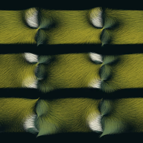 Folradura