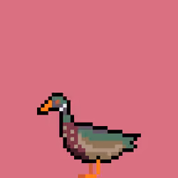 #598