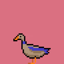 #296