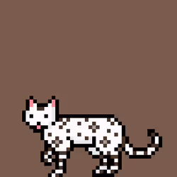 #2428
