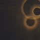 61