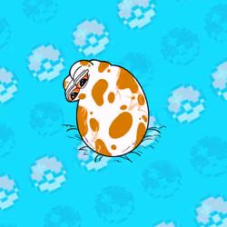 PepemonGo Egg Collection 1 #123