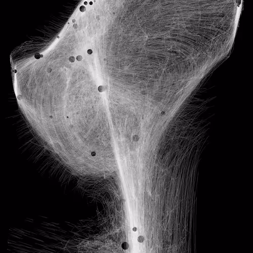 Loops of Uncertainty