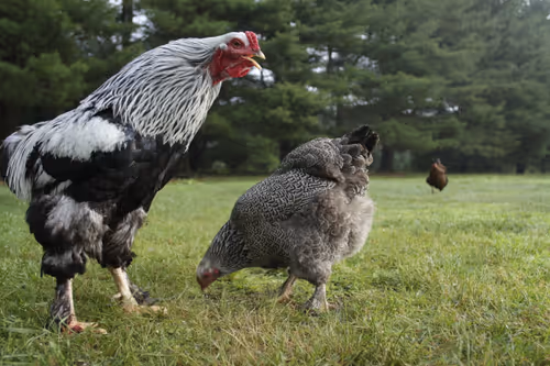 Item #20220617064714 Media