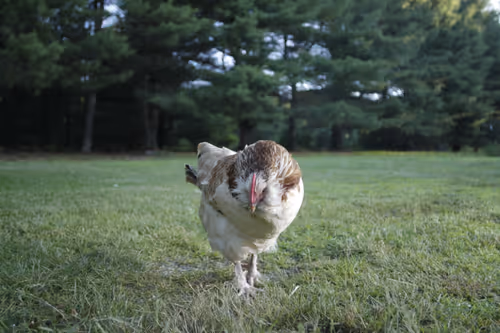 Item #20220619061653 Media