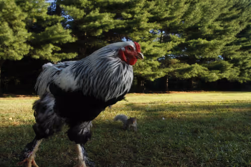 Item #20220731072947 Media