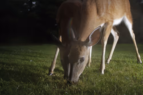 Item #20220616064811 Media