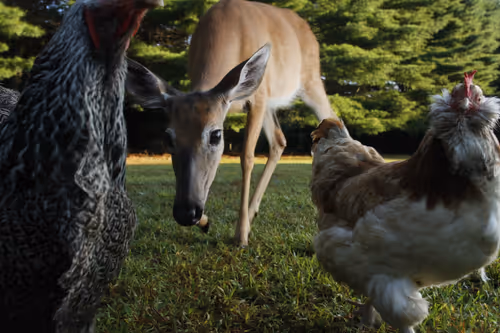 Item #20220818073123 Media