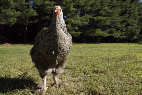 Item #20220619084900 Media