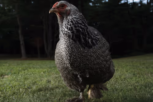 Item #20220712062348 Media