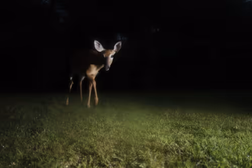 Item #20220718055846 Media