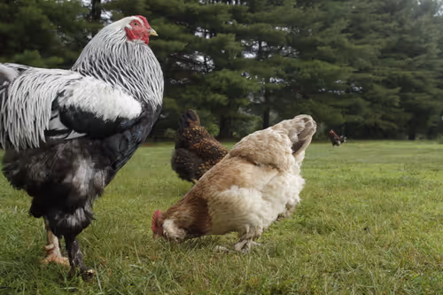 Item #20220613075917 Media