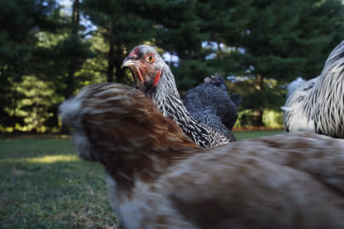 Item #20220801165032 Media