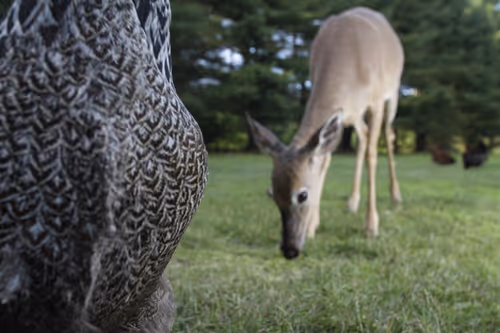 Item #20220613182048 Media