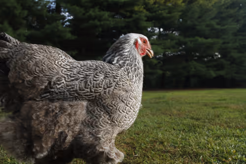 Item #20220728064018 Media