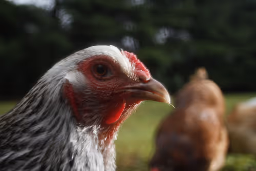 Item #20220801065127 Media