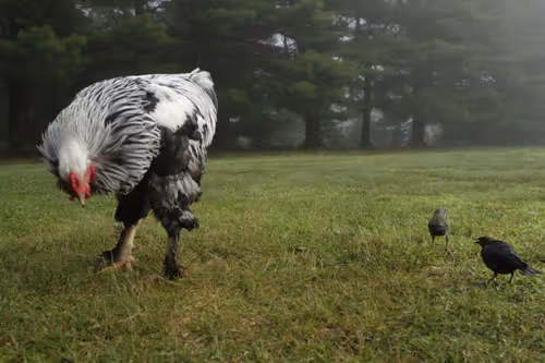 Item #20220624063754 Media