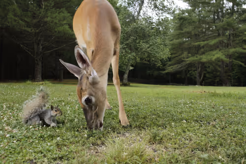 Item #20220707080923 Media