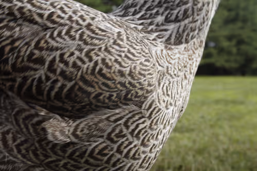 Item #20220618084629 Media