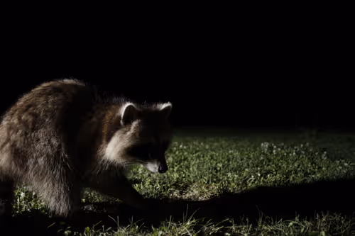 Item #20220708000047 Media