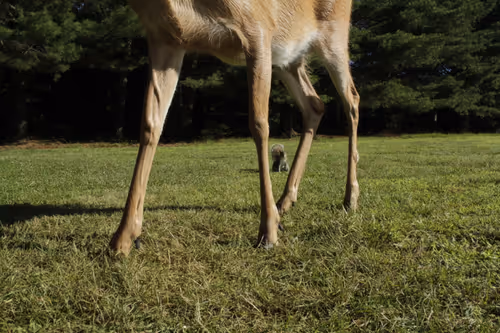 Item #20220625083219 Media