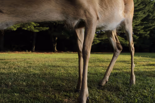 Item #20220722070754 Media