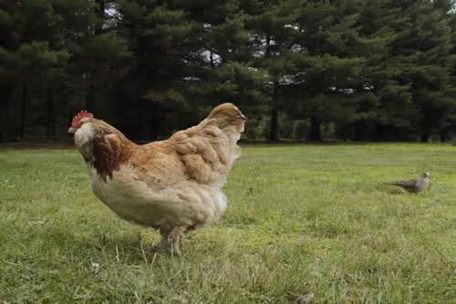 Item #20220612145606 Media