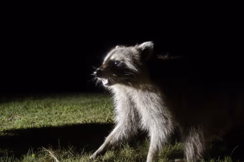 Item #20220712215400 Media