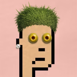 CraftPunk 3951