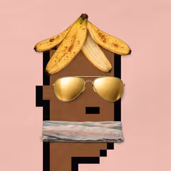 4251