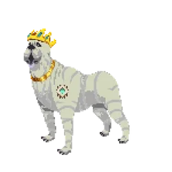 Pupper #324