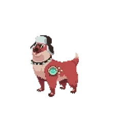Pupper #326
