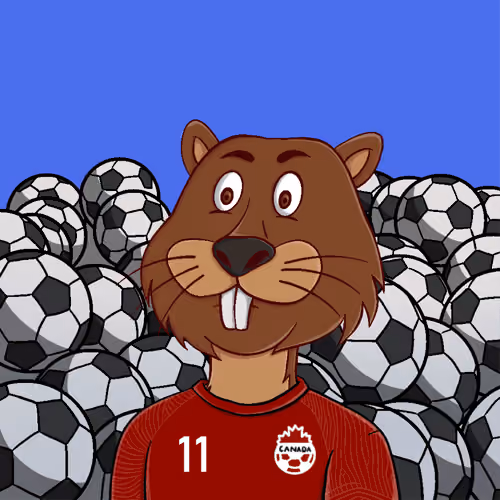 Qatar Football Zoo: #439